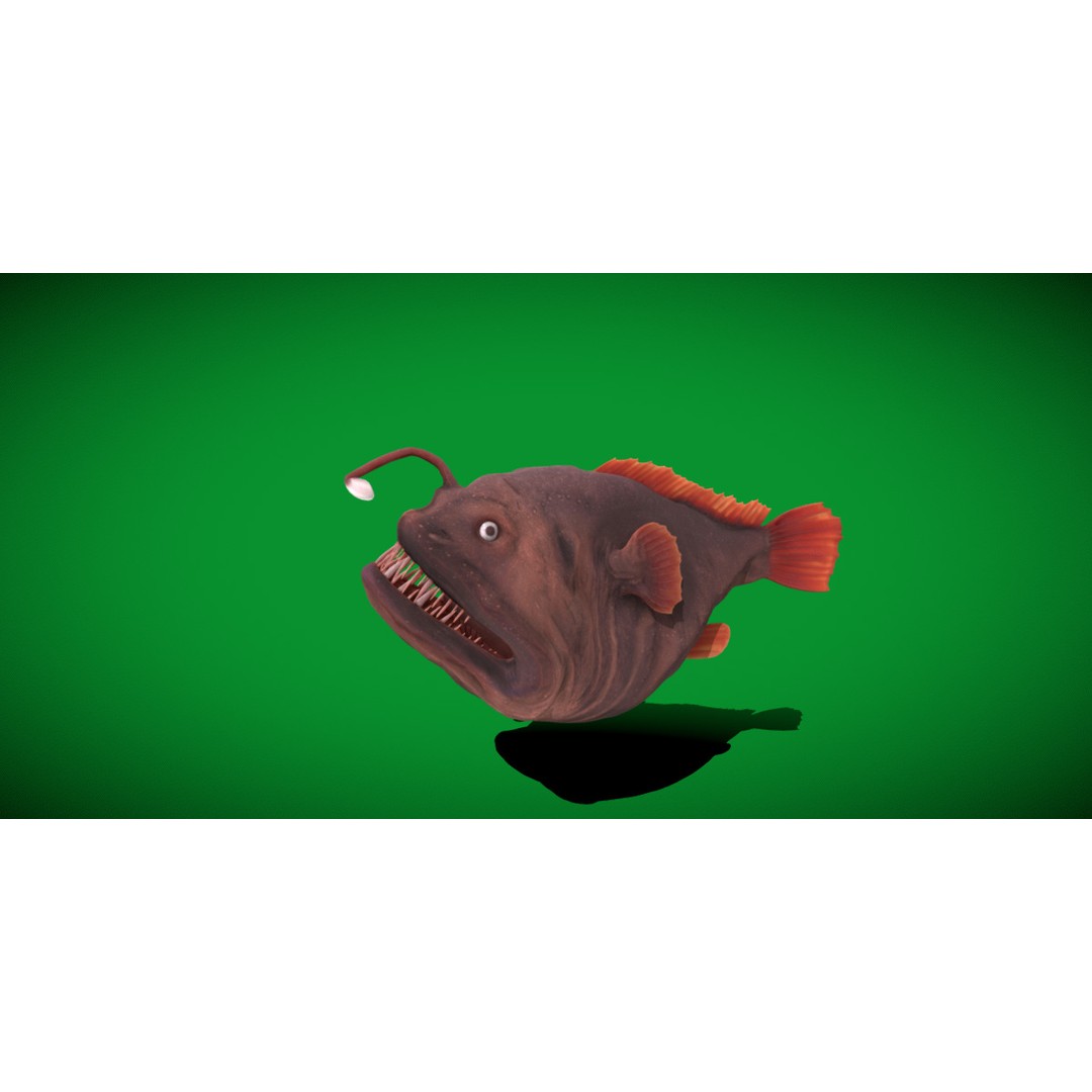 Angler Fish 3D Model – Low Poly Game Asset, FBX, PBR Textures - View 12