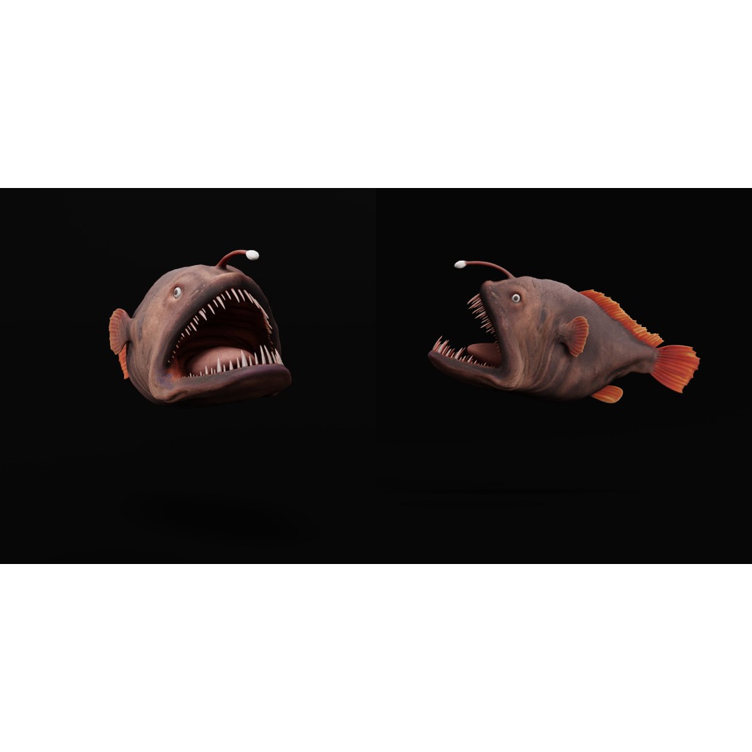 Angler Fish 3D Model – Low Poly Game Asset, FBX, PBR Textures - View 17