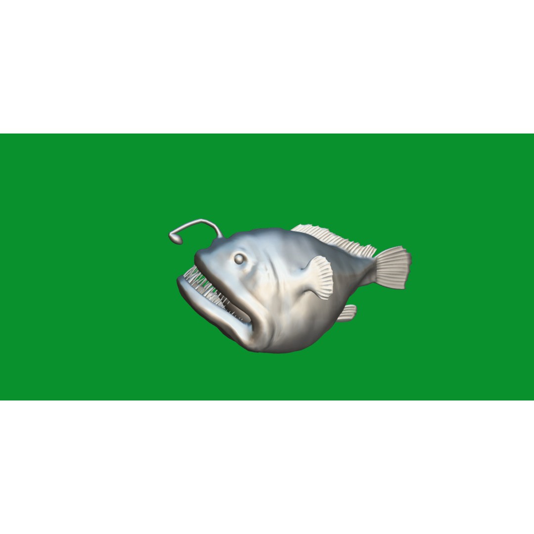 Angler Fish 3D Model – Low Poly Game Asset, FBX, PBR Textures - View 18