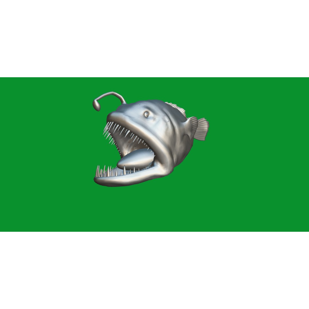 Angler Fish 3D Model – Low Poly Game Asset, FBX, PBR Textures - View 19