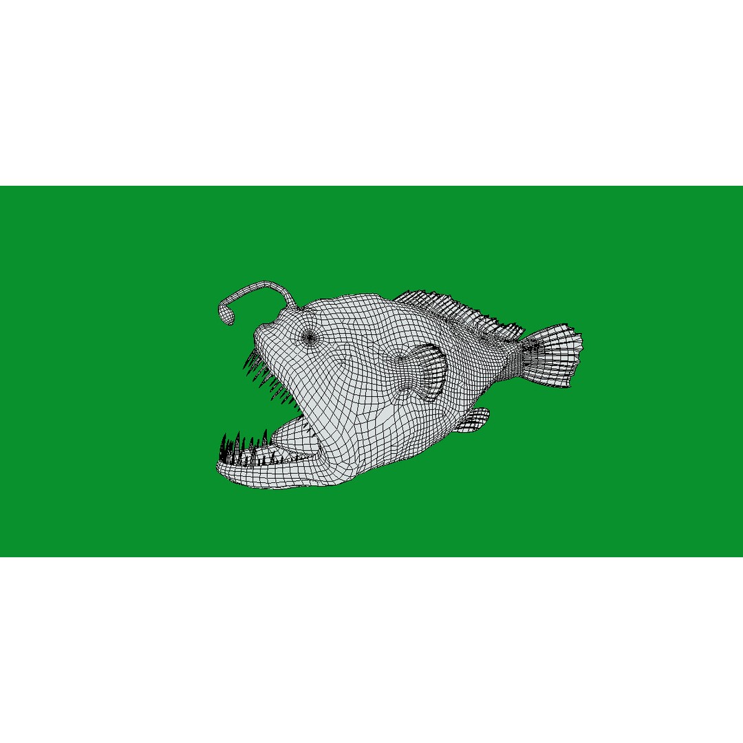 Angler Fish 3D Model – Low Poly Game Asset, FBX, PBR Textures - View 21
