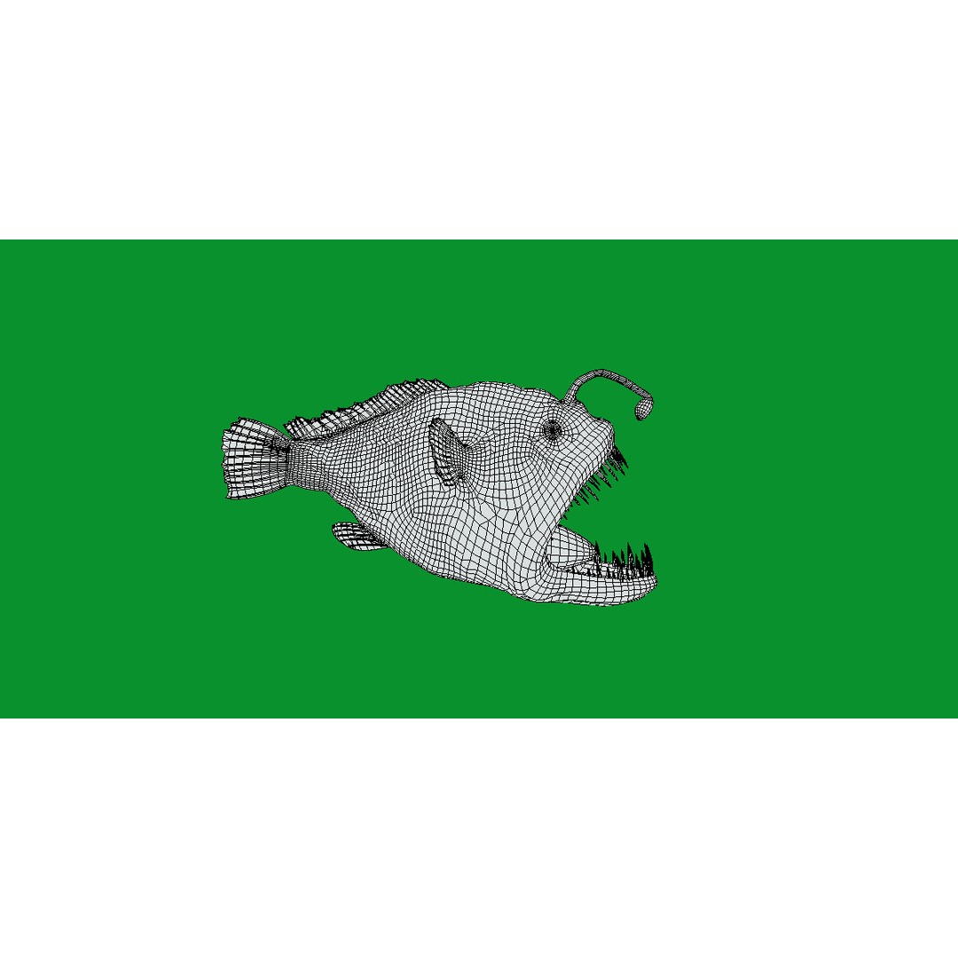 Angler Fish 3D Model – Low Poly Game Asset, FBX, PBR Textures - View 23