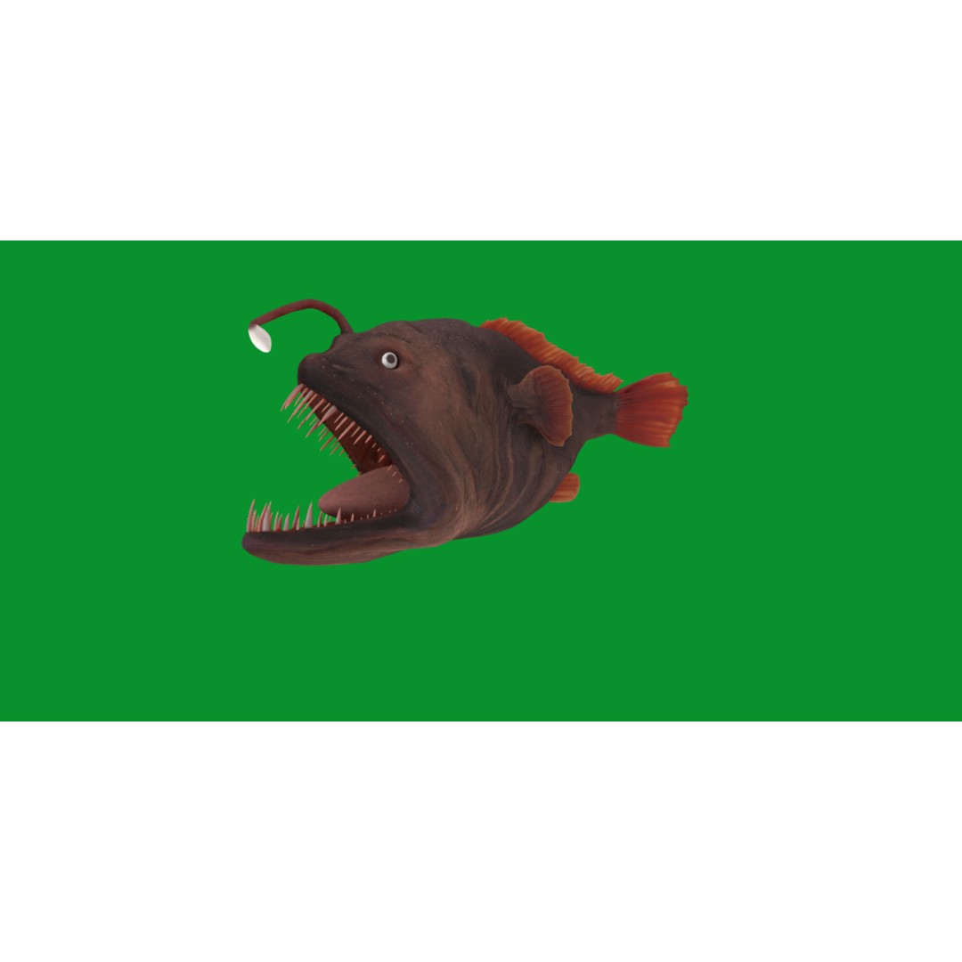 Angler Fish 3D Model – Low Poly Game Asset, FBX, PBR Textures - View 28