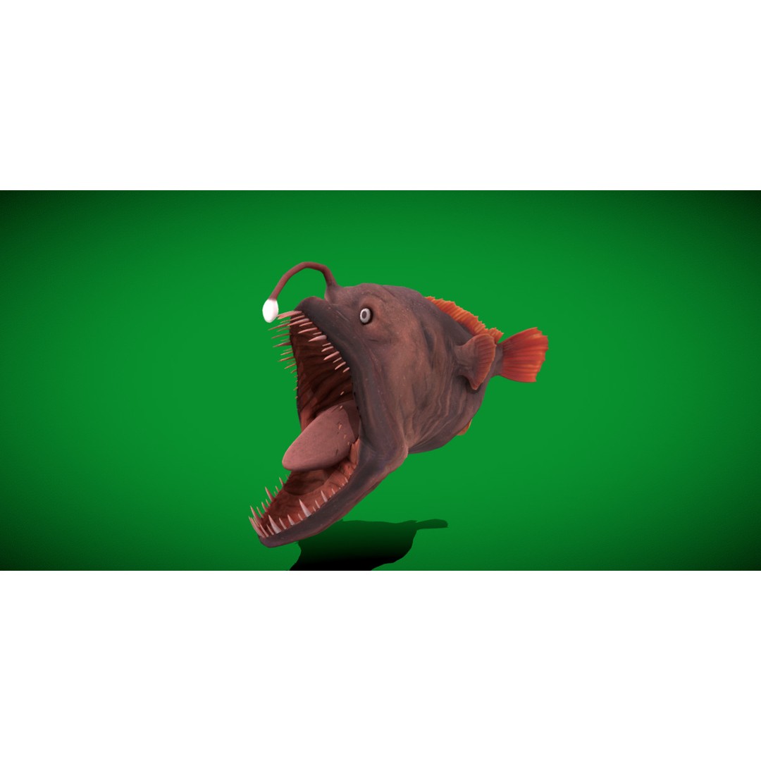 Angler Fish 3D Model – Low Poly Game Asset, FBX, PBR Textures - View 31