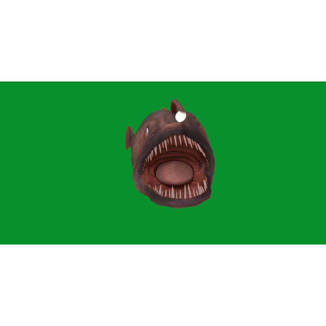 Angler Fish 3D Model – Low Poly Game Asset, FBX, PBR Textures - View 32