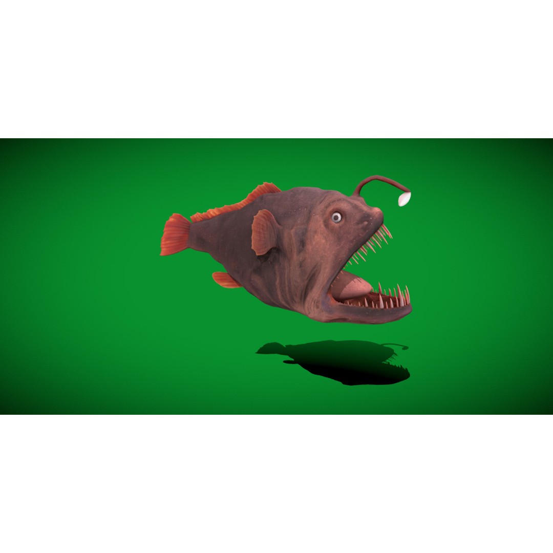 Angler Fish 3D Model – Low Poly Game Asset, FBX, PBR Textures - View 34