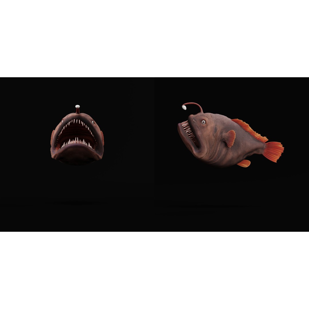Angler Fish 3D Model – Low Poly Game Asset, FBX, PBR Textures - View 35