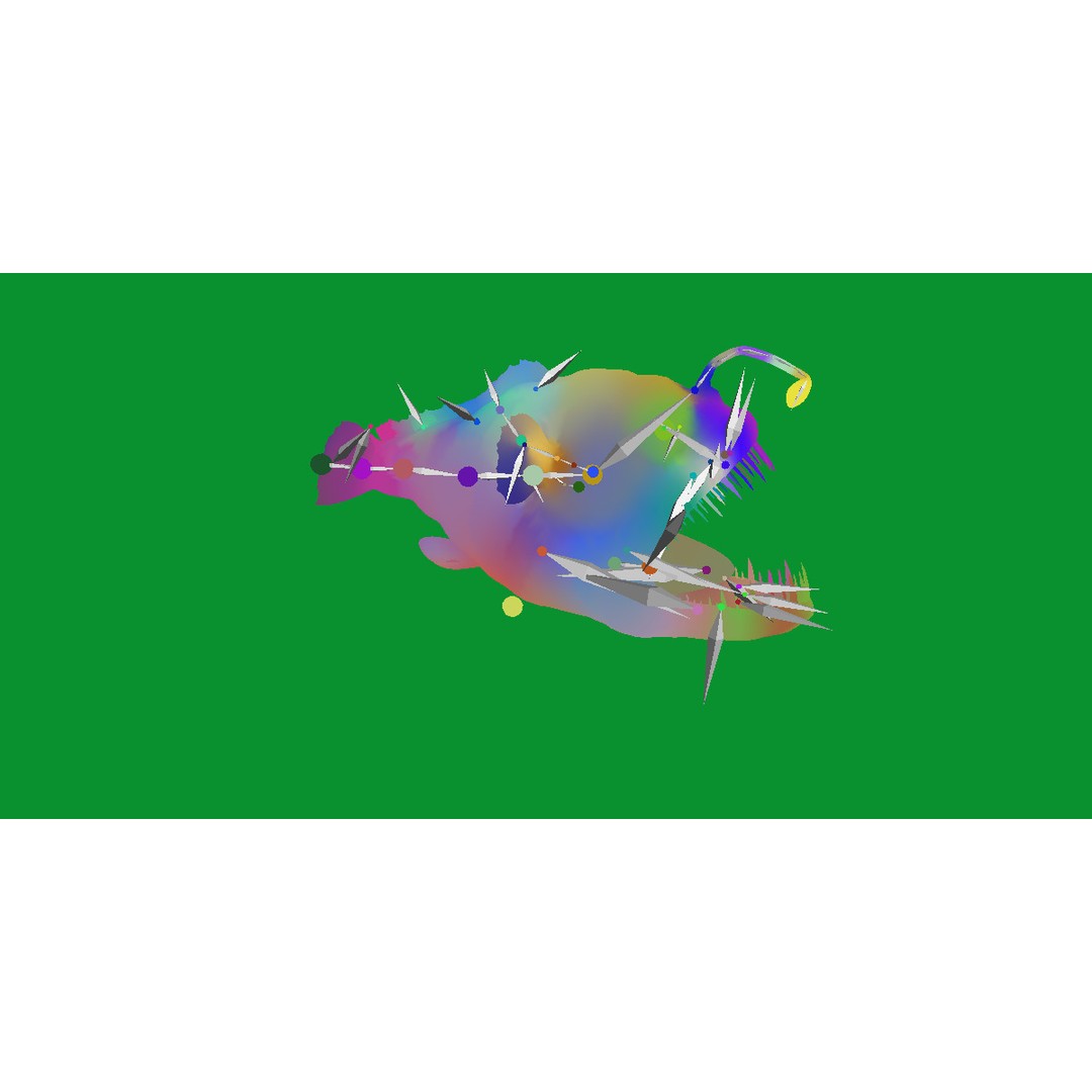 Angler Fish 3D Model – Low Poly Game Asset, FBX, PBR Textures - View 37
