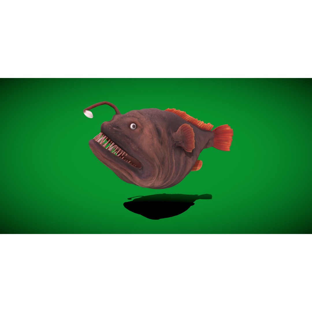 Angler Fish 3D Model – Low Poly Game Asset, FBX, PBR Textures - View 38