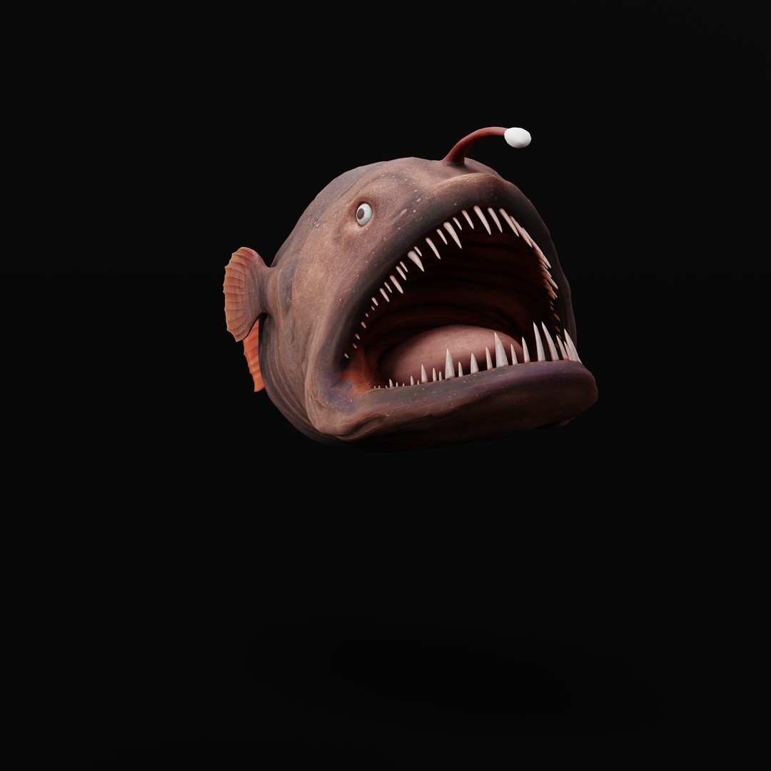 Angler Fish 3D Model – Low Poly Game Asset, FBX, PBR Textures - View 40