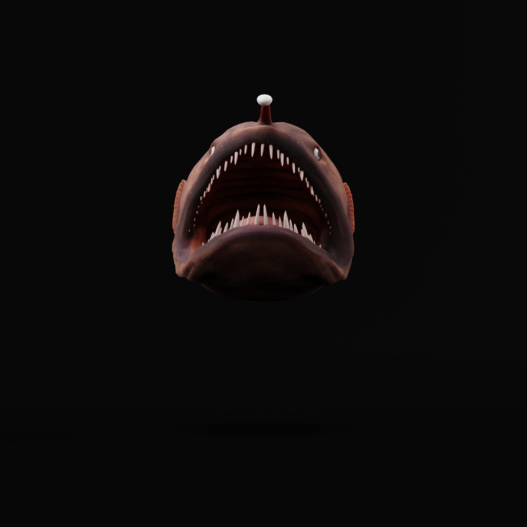 Angler Fish 3D Model – Low Poly Game Asset, FBX, PBR Textures - View 41