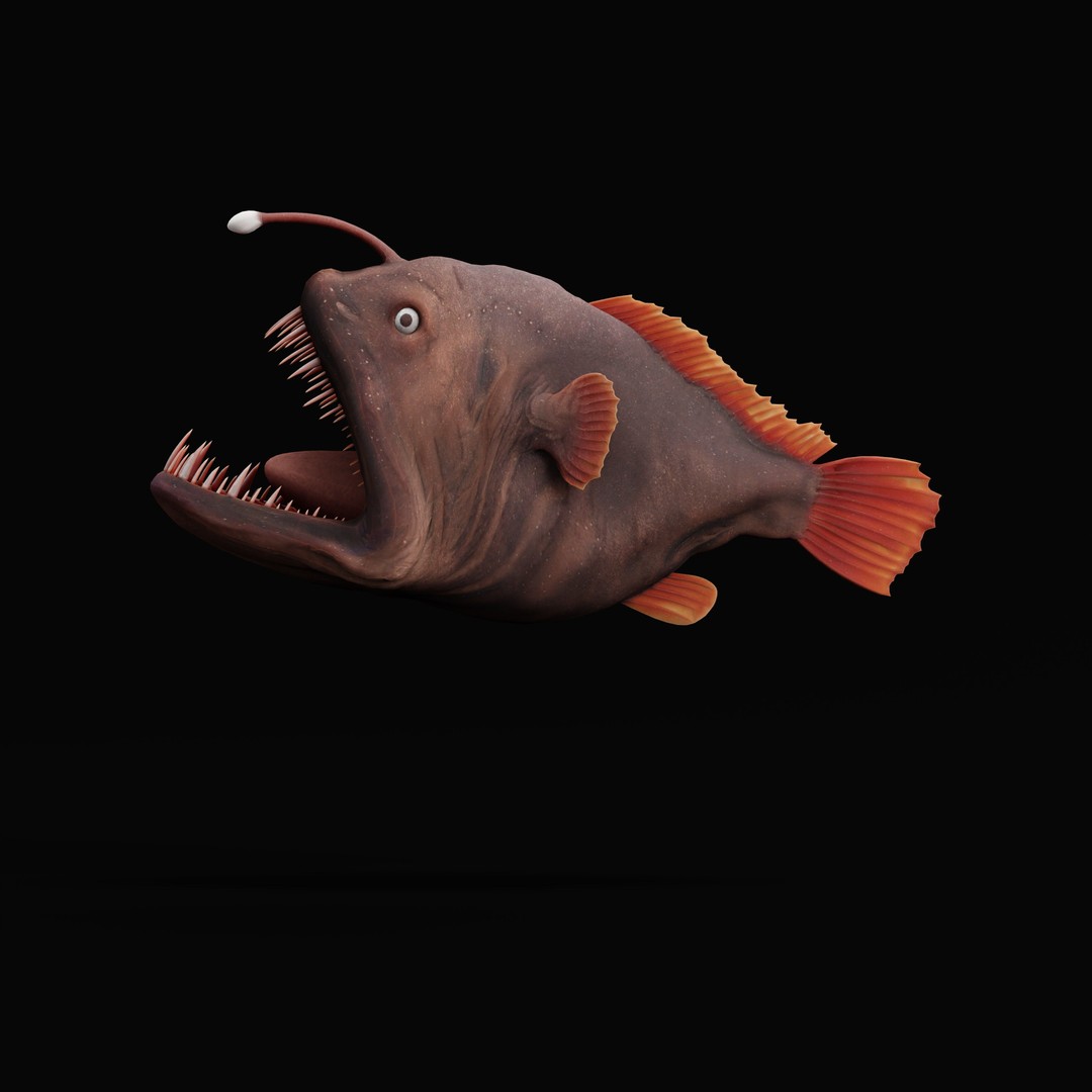 Angler Fish 3D Model – Low Poly Game Asset, FBX, PBR Textures - View 42