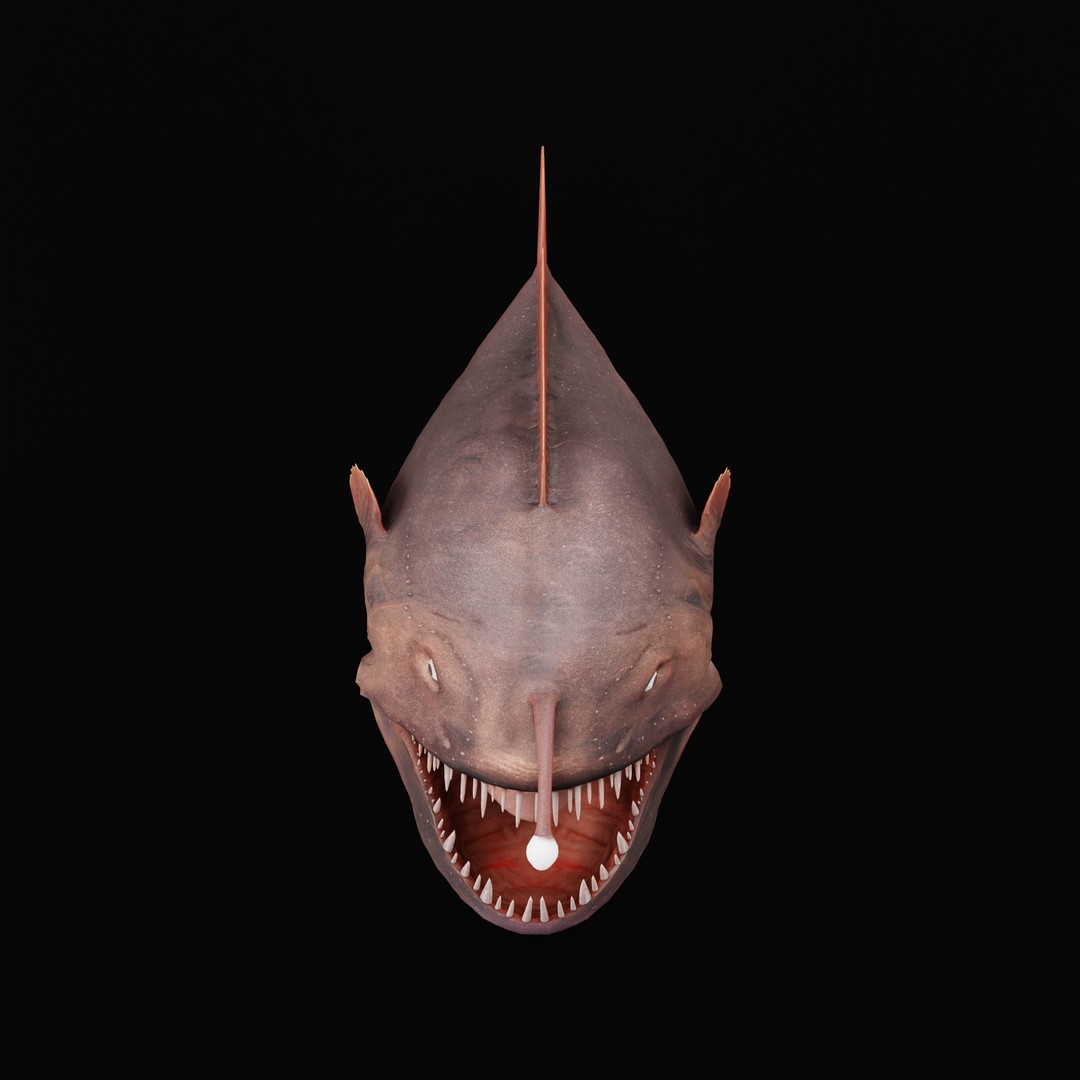 Angler Fish 3D Model – Low Poly Game Asset, FBX, PBR Textures - View 43