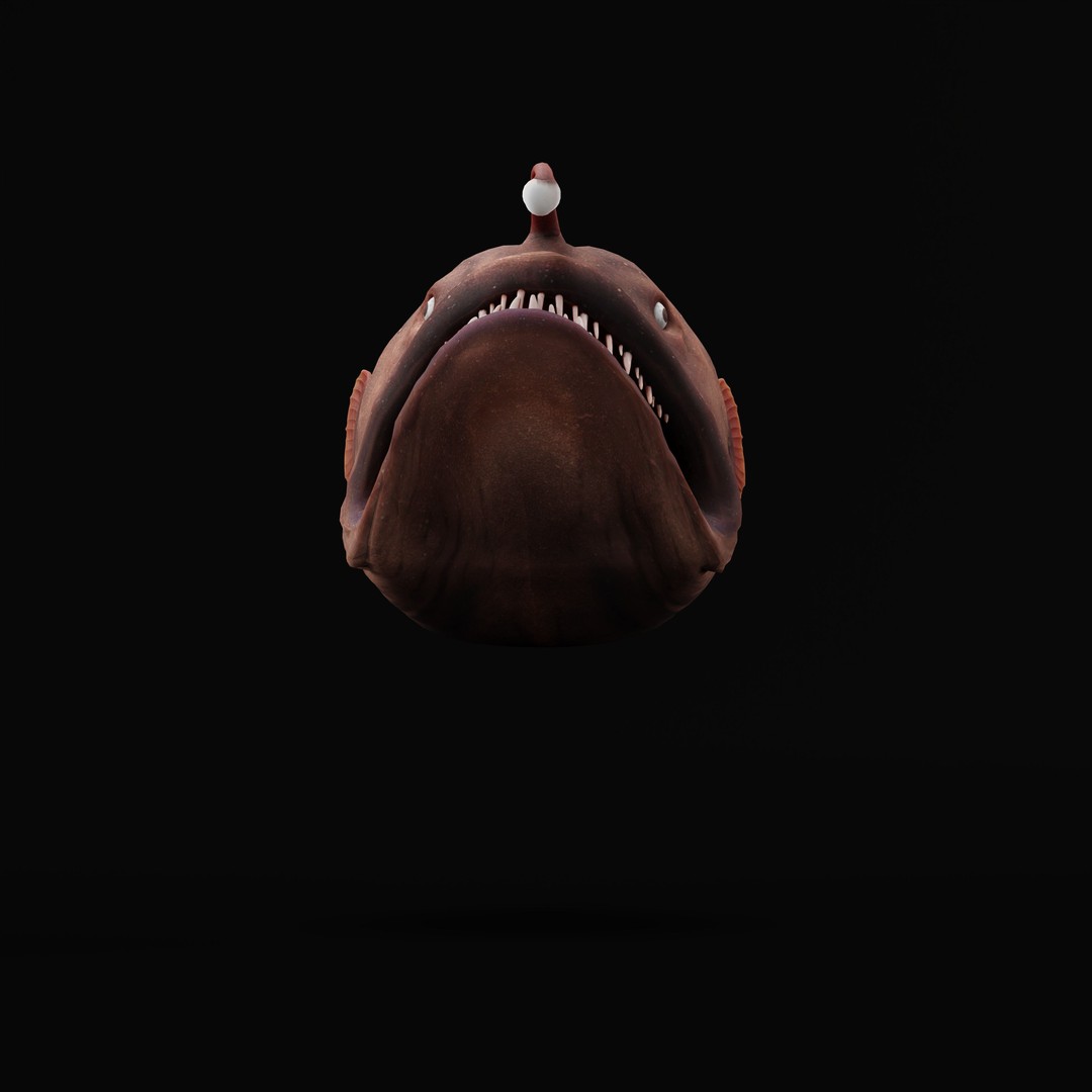 Angler Fish 3D Model – Low Poly Game Asset, FBX, PBR Textures - View 45