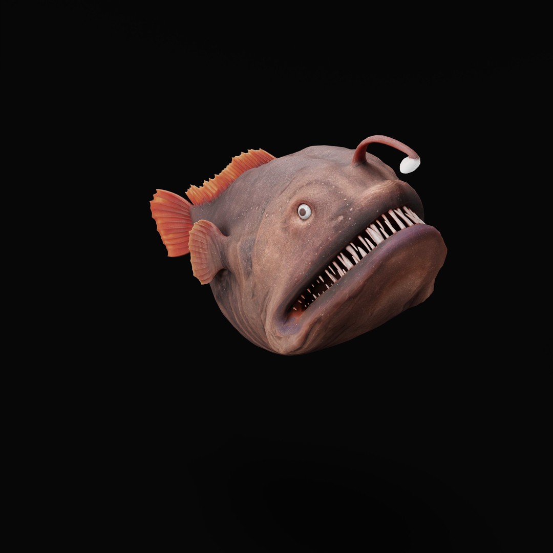 Angler Fish 3D Model – Low Poly Game Asset, FBX, PBR Textures - View 46