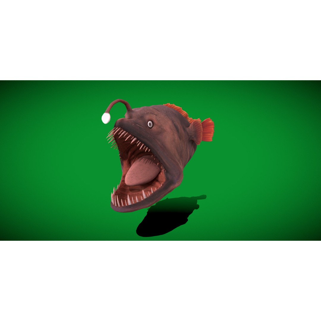 Angler Fish 3D Model – Low Poly Game Asset, FBX, PBR Textures - View 8