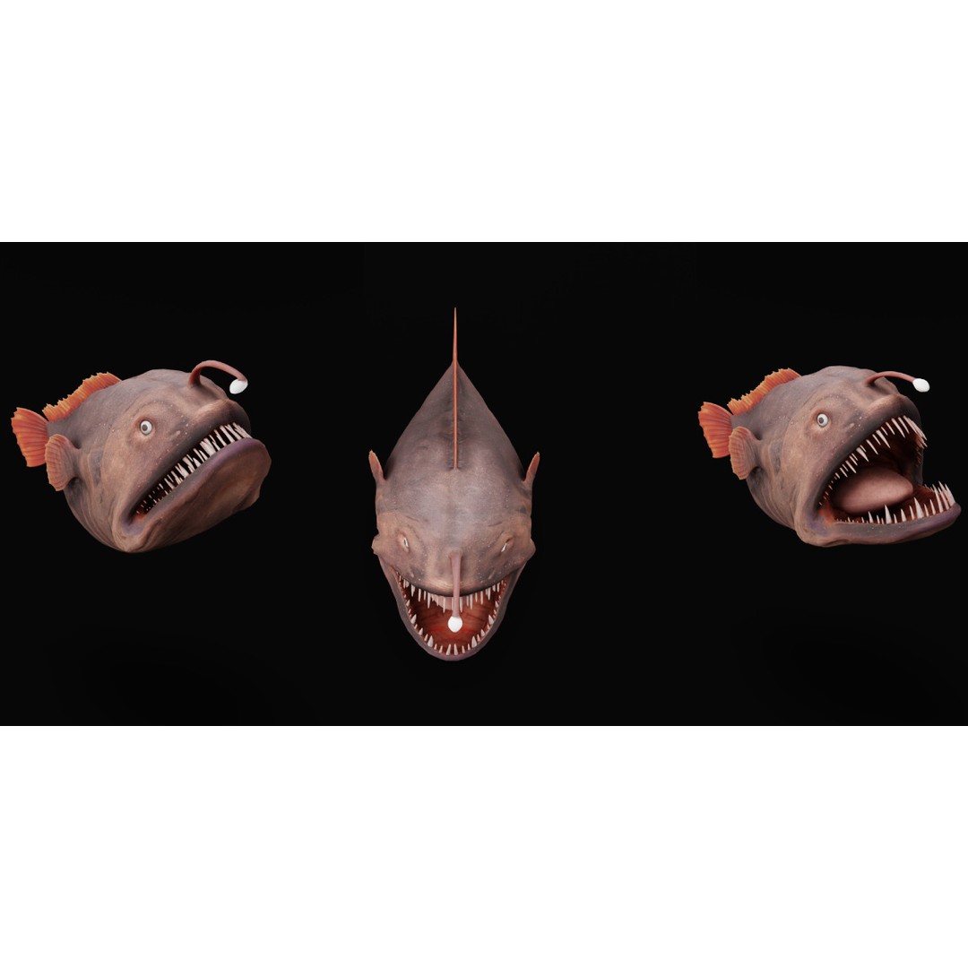 Angler Fish 3D Model – Low Poly Game Asset, FBX, PBR Textures - View 9