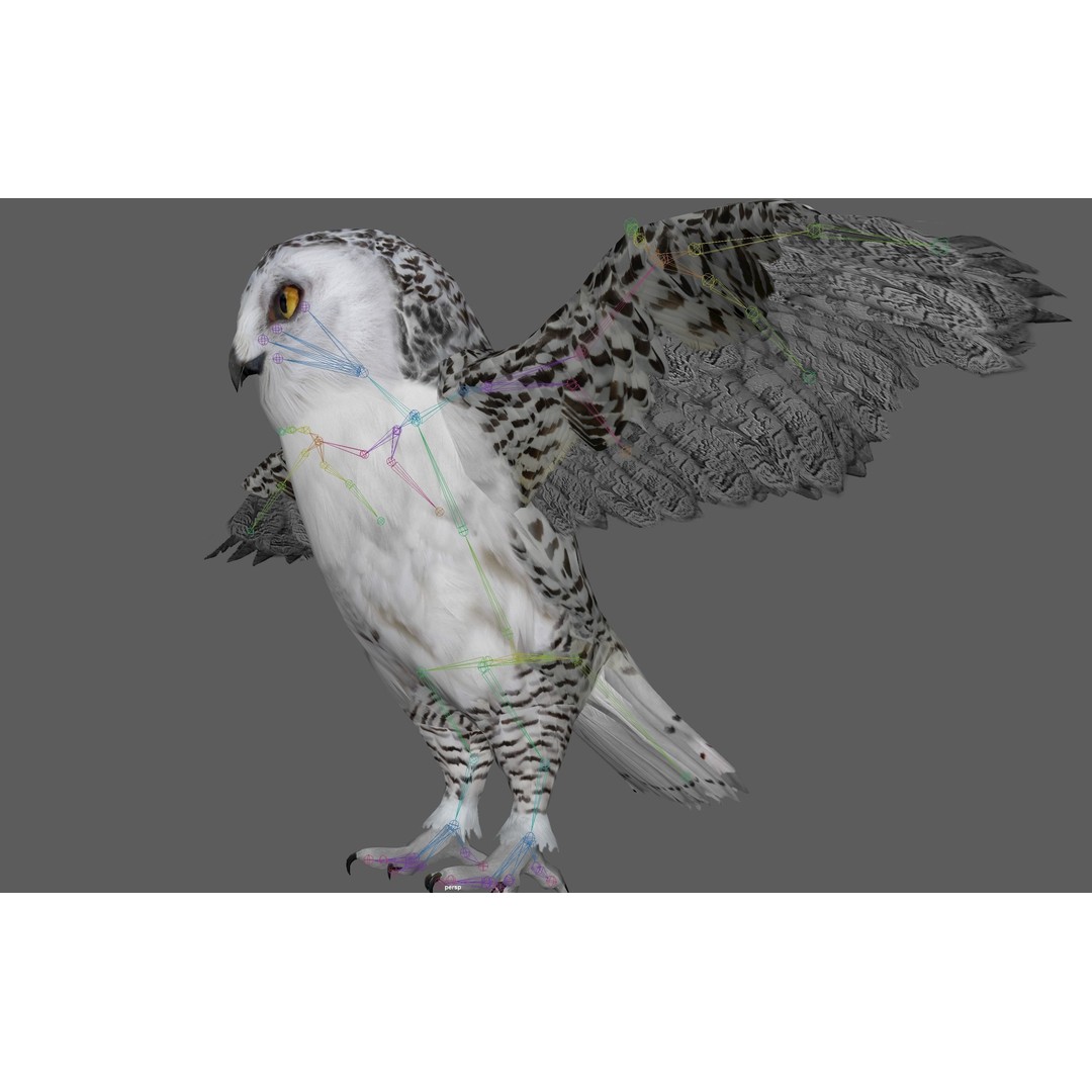 Snowy White Owl 3D Model – Low Poly Rigged Bird Asset, FBX, Blender