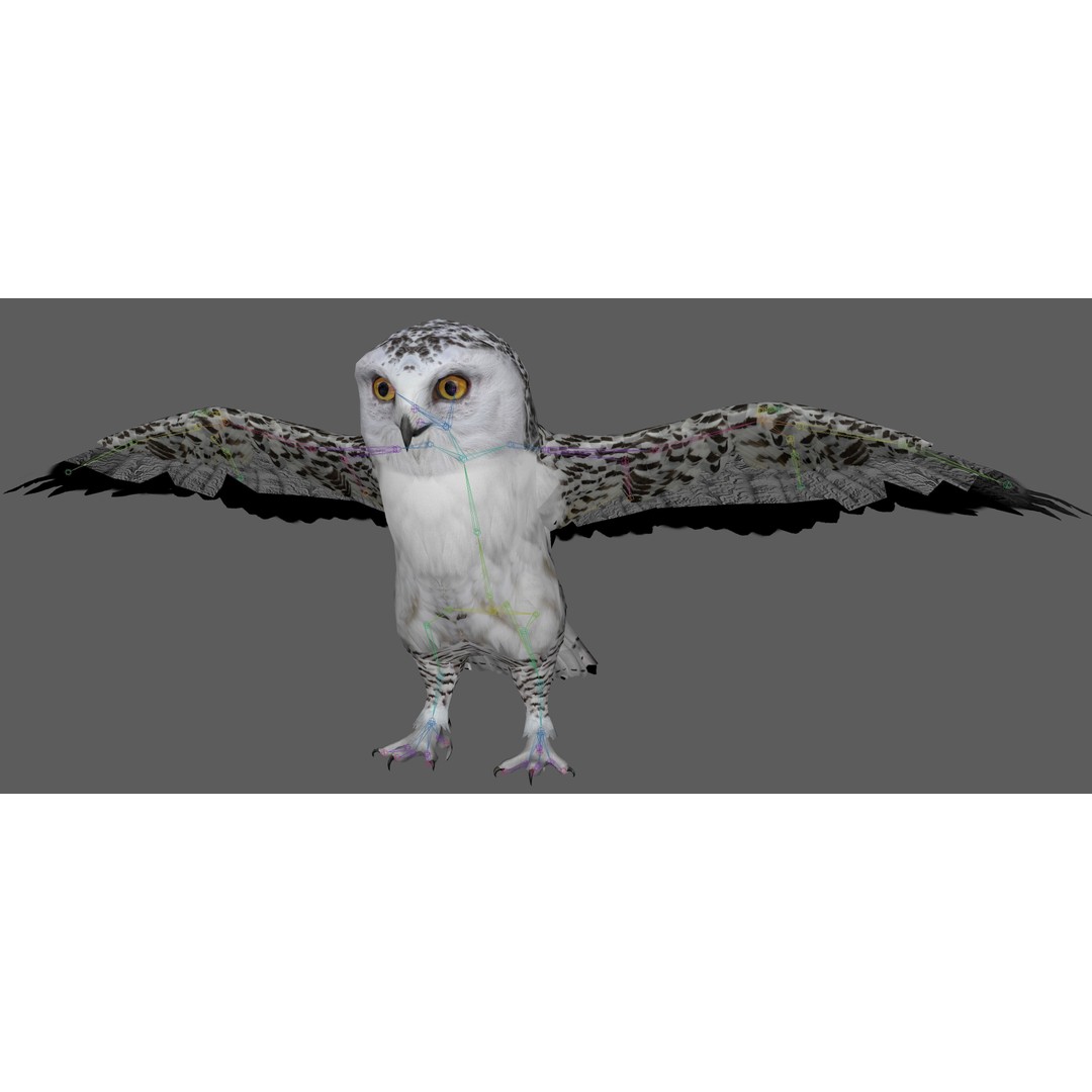 Snowy White Owl 3D Model – Low Poly Rigged Bird Asset, FBX, Blender - View 10