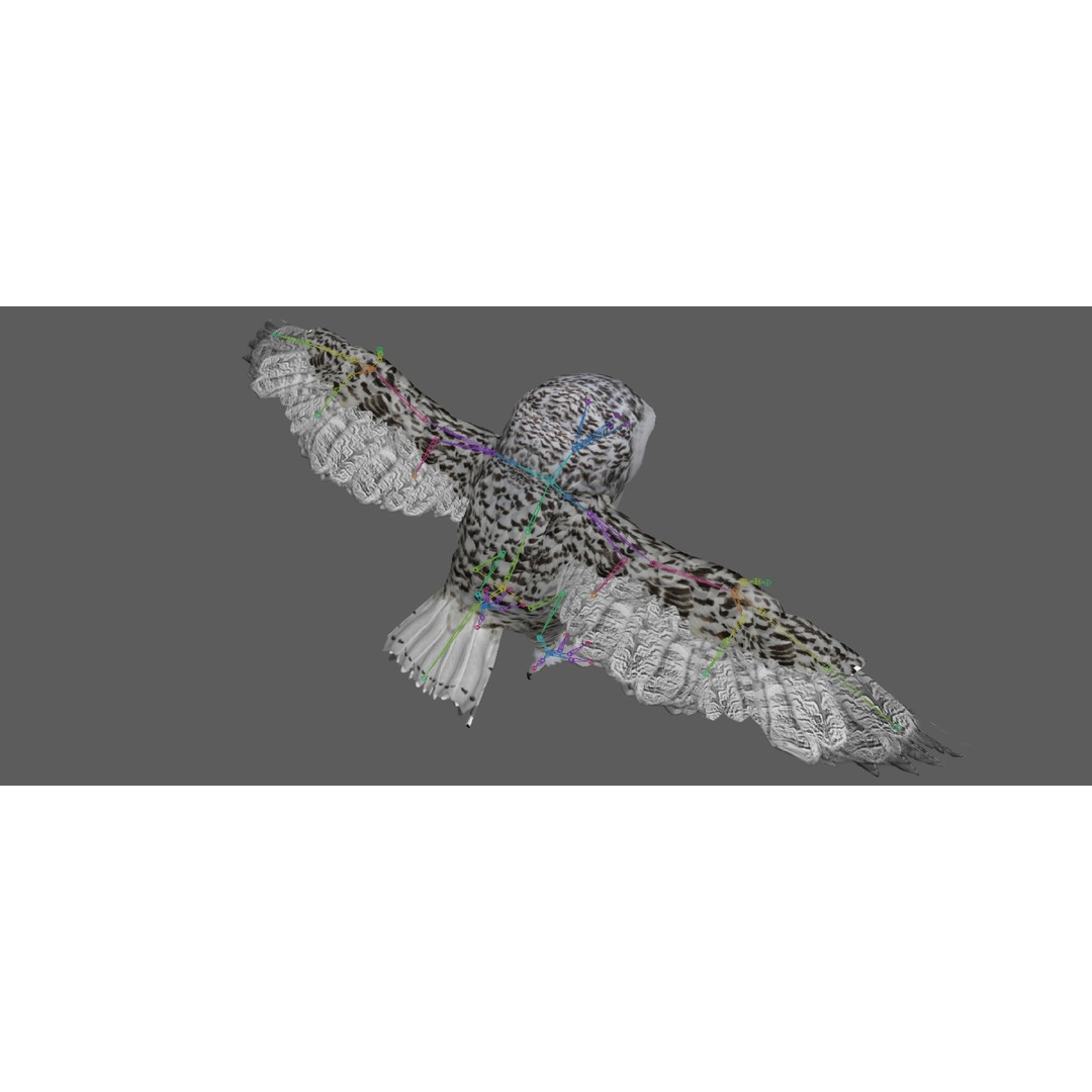 Snowy White Owl 3D Model – Low Poly Rigged Bird Asset, FBX, Blender - View 13