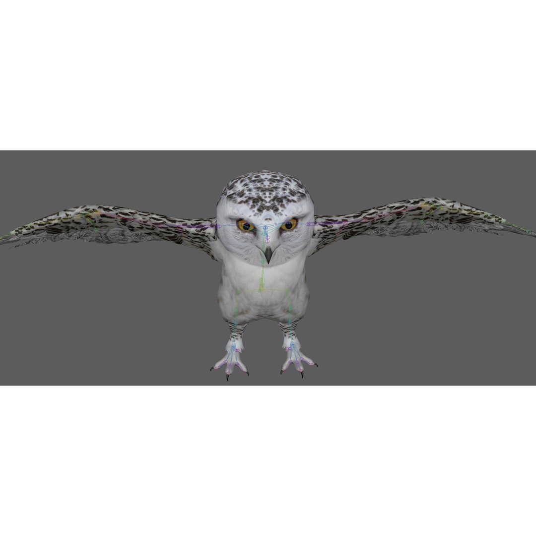 Snowy White Owl 3D Model – Low Poly Rigged Bird Asset, FBX, Blender - View 18