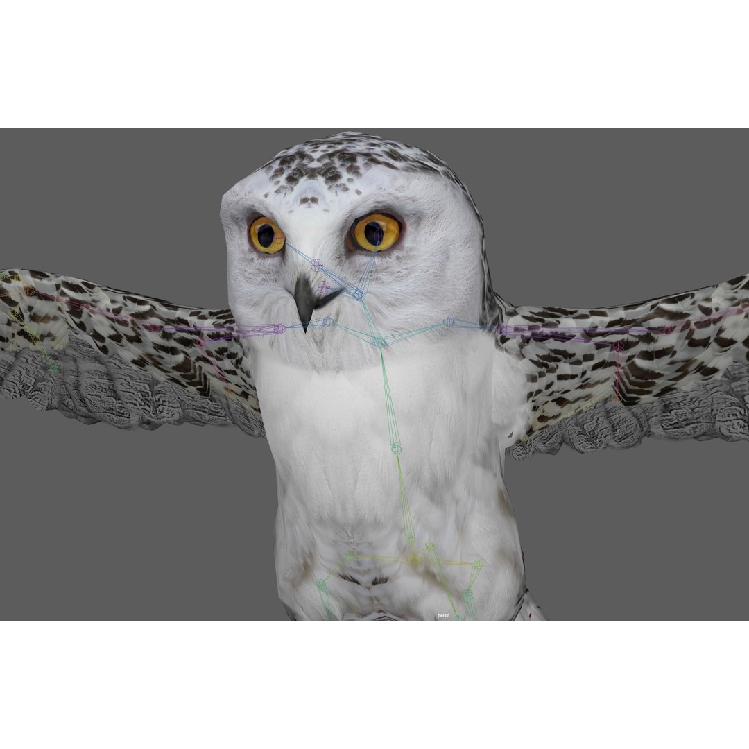 Snowy White Owl 3D Model – Low Poly Rigged Bird Asset, FBX, Blender - View 19