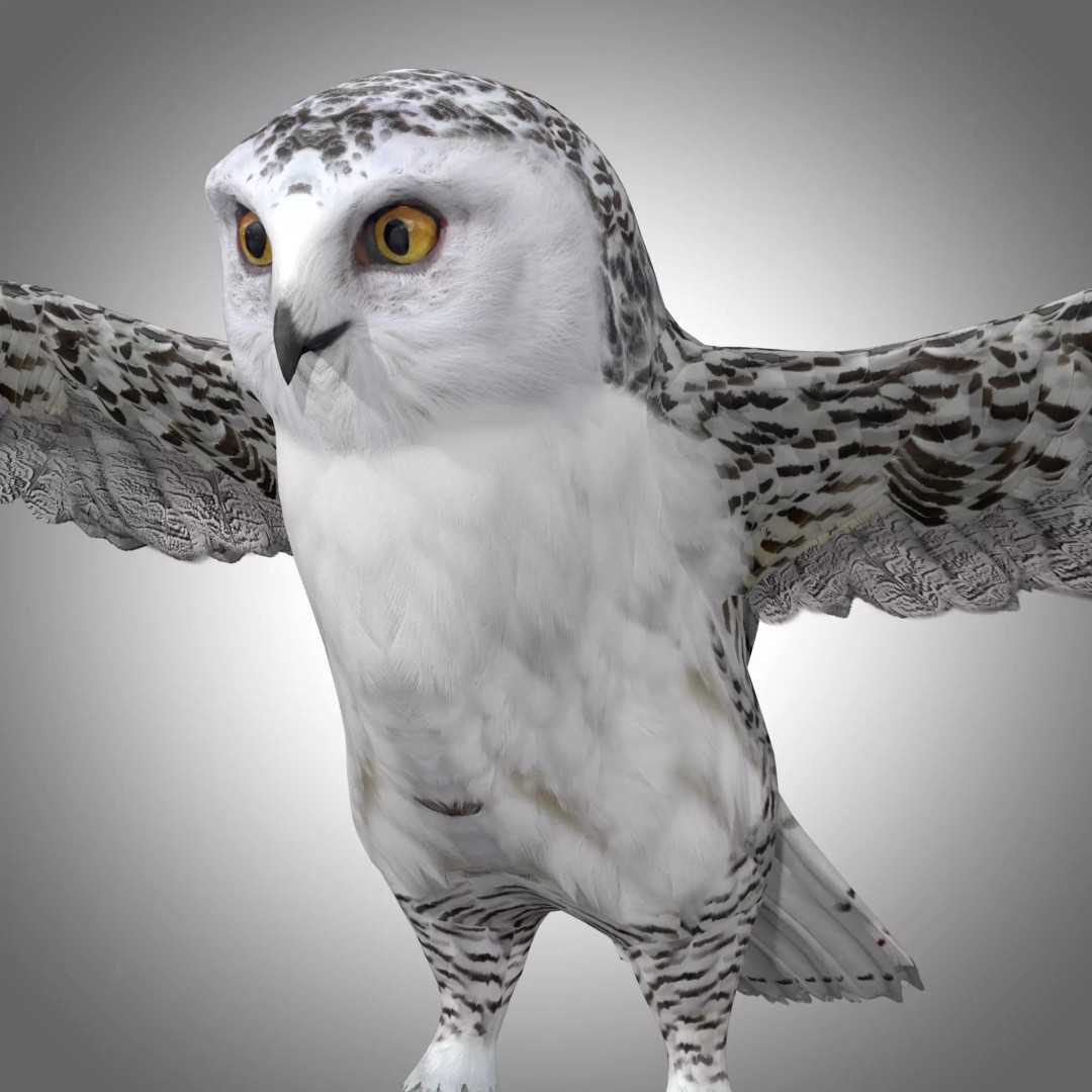 Snowy White Owl 3D Model – Low Poly Rigged Bird Asset, FBX, Blender - View 2
