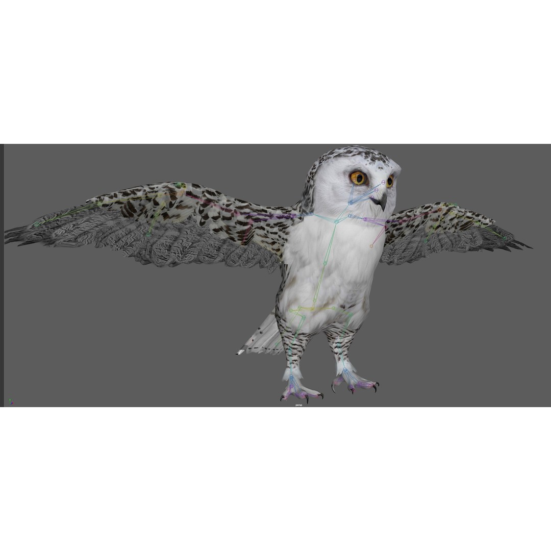 Snowy White Owl 3D Model – Low Poly Rigged Bird Asset, FBX, Blender - View 20