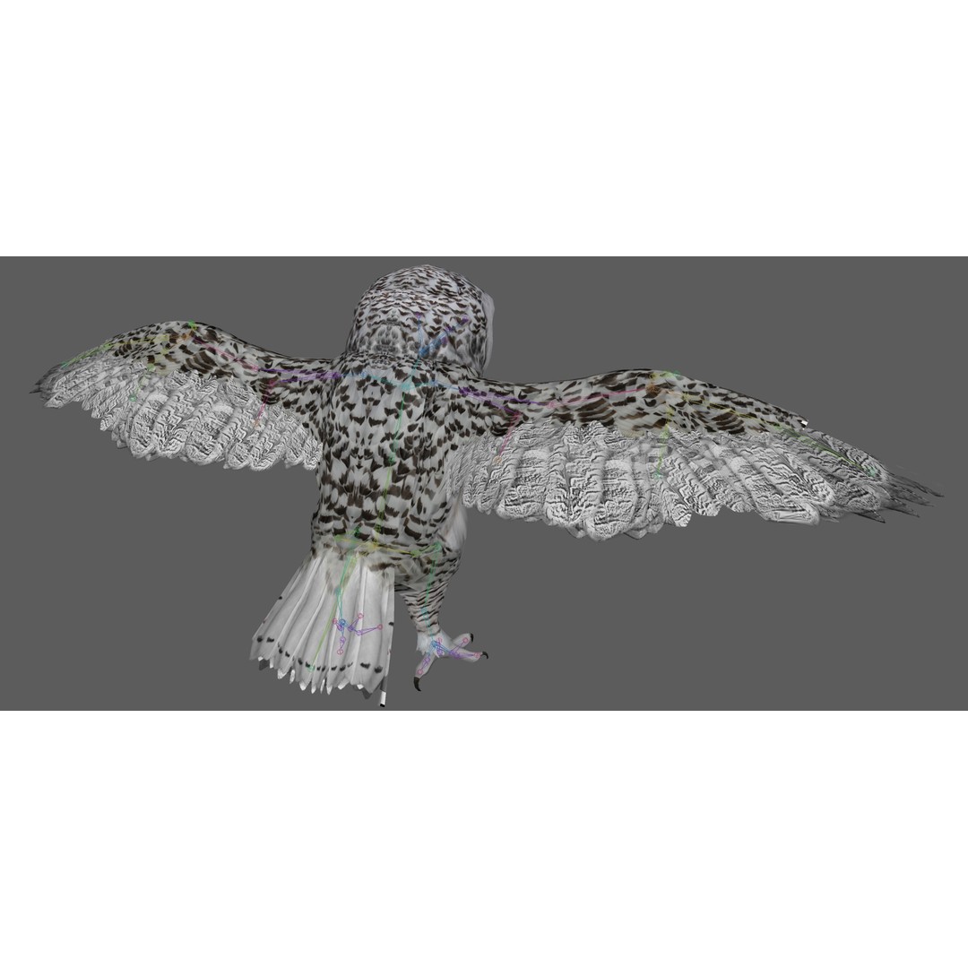 Snowy White Owl 3D Model – Low Poly Rigged Bird Asset, FBX, Blender - View 22