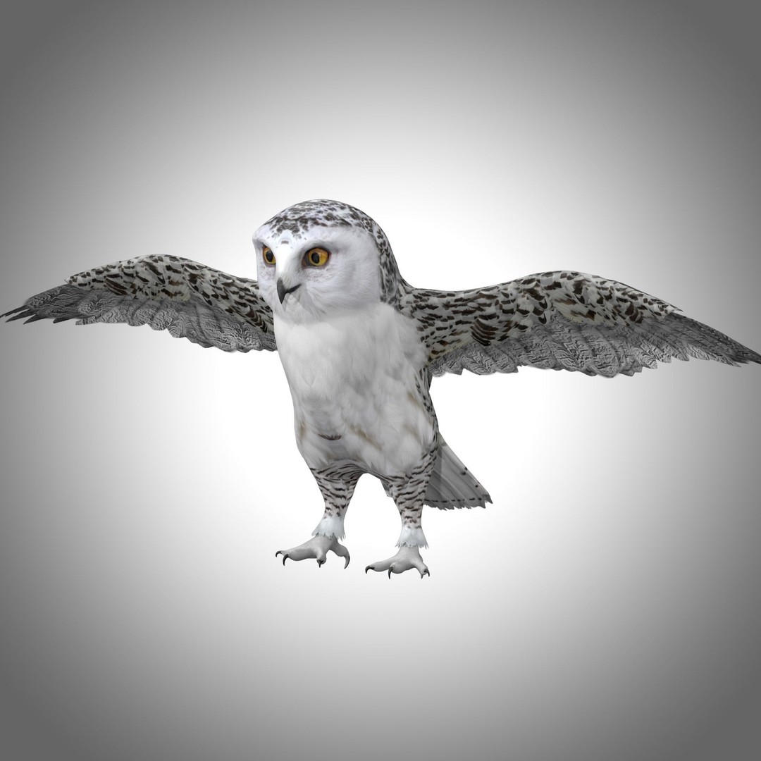 Snowy White Owl 3D Model – Low Poly Rigged Bird Asset, FBX, Blender - View 3