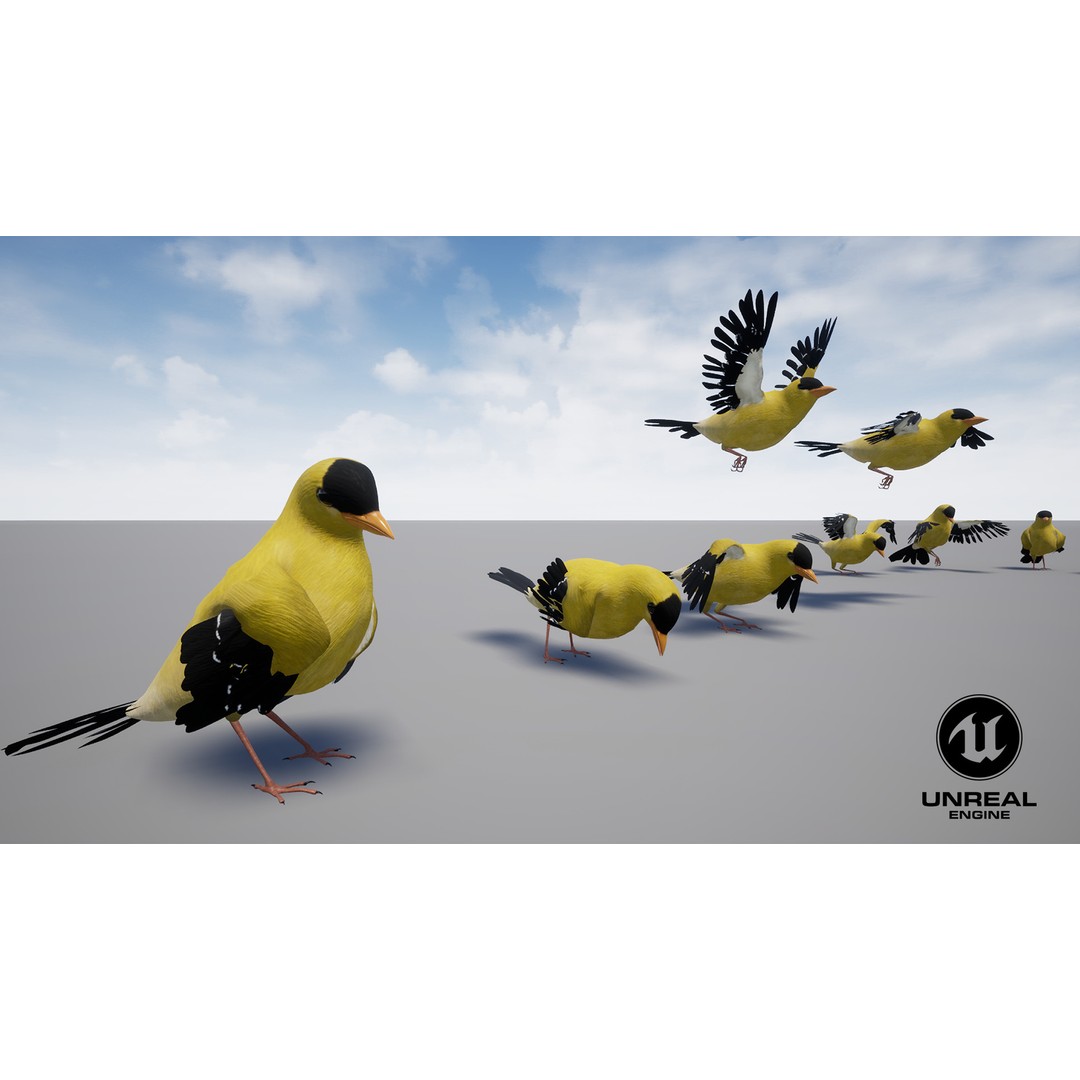 Goldfinch 3D Model – Animated Rigged Bird Asset, Blender, FBX - View 14
