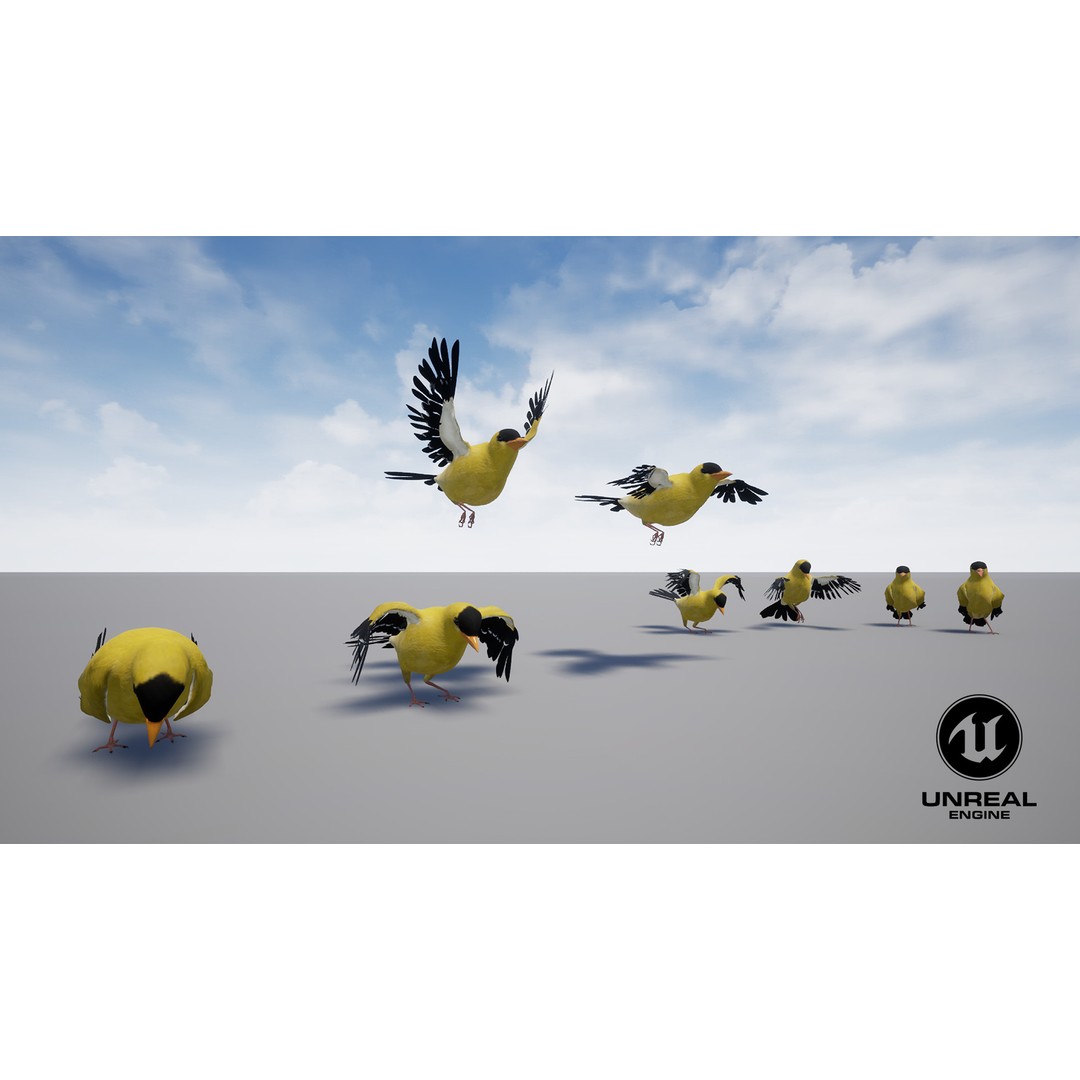 Goldfinch 3D Model – Animated Rigged Bird Asset, Blender, FBX - View 15