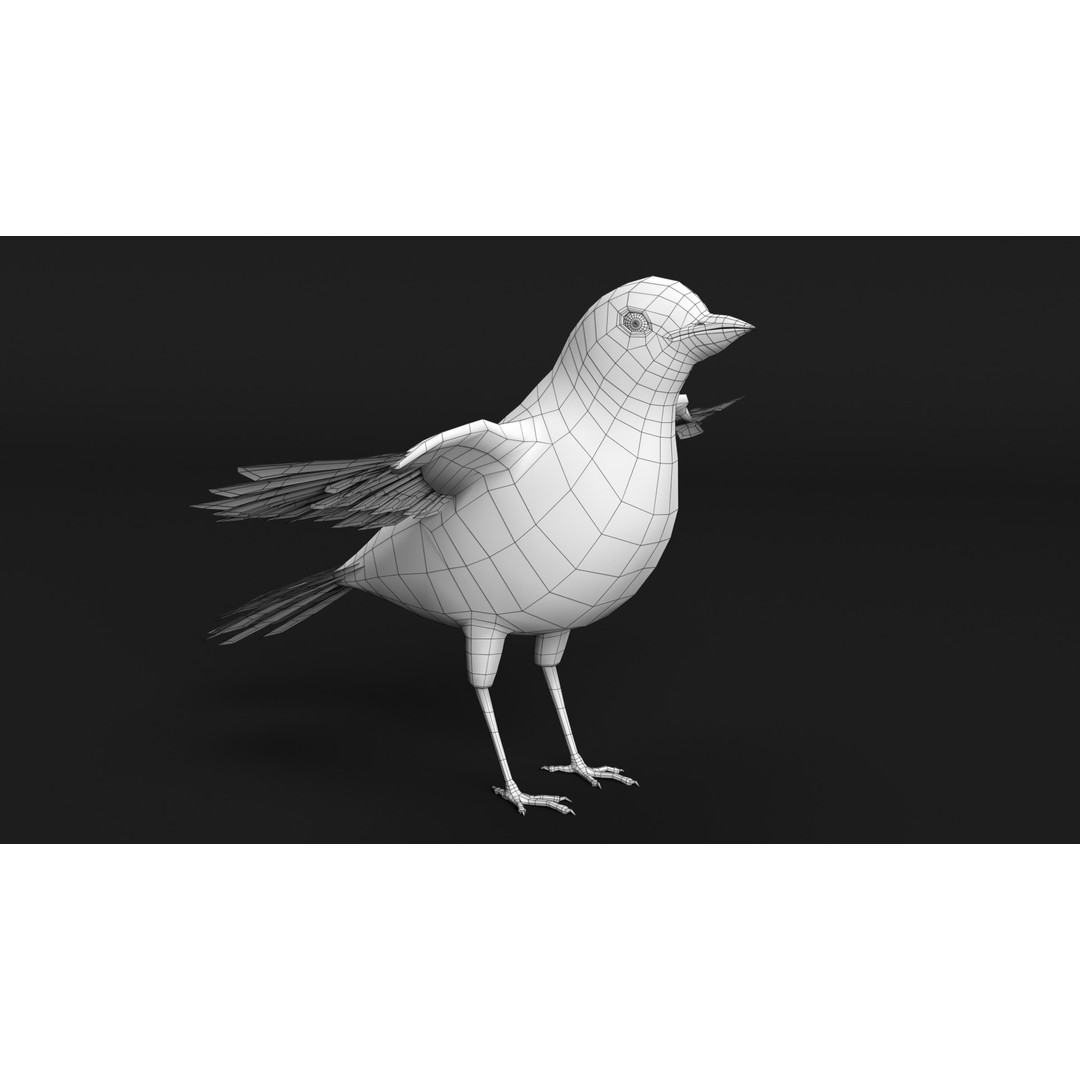 Goldfinch 3D Model – Animated Rigged Bird Asset, Blender, FBX - View 17