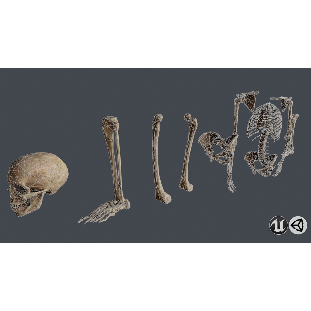 Skull and Bones 3D Model – Low Poly Game Ready Asset, FBX, OBJ - View 4