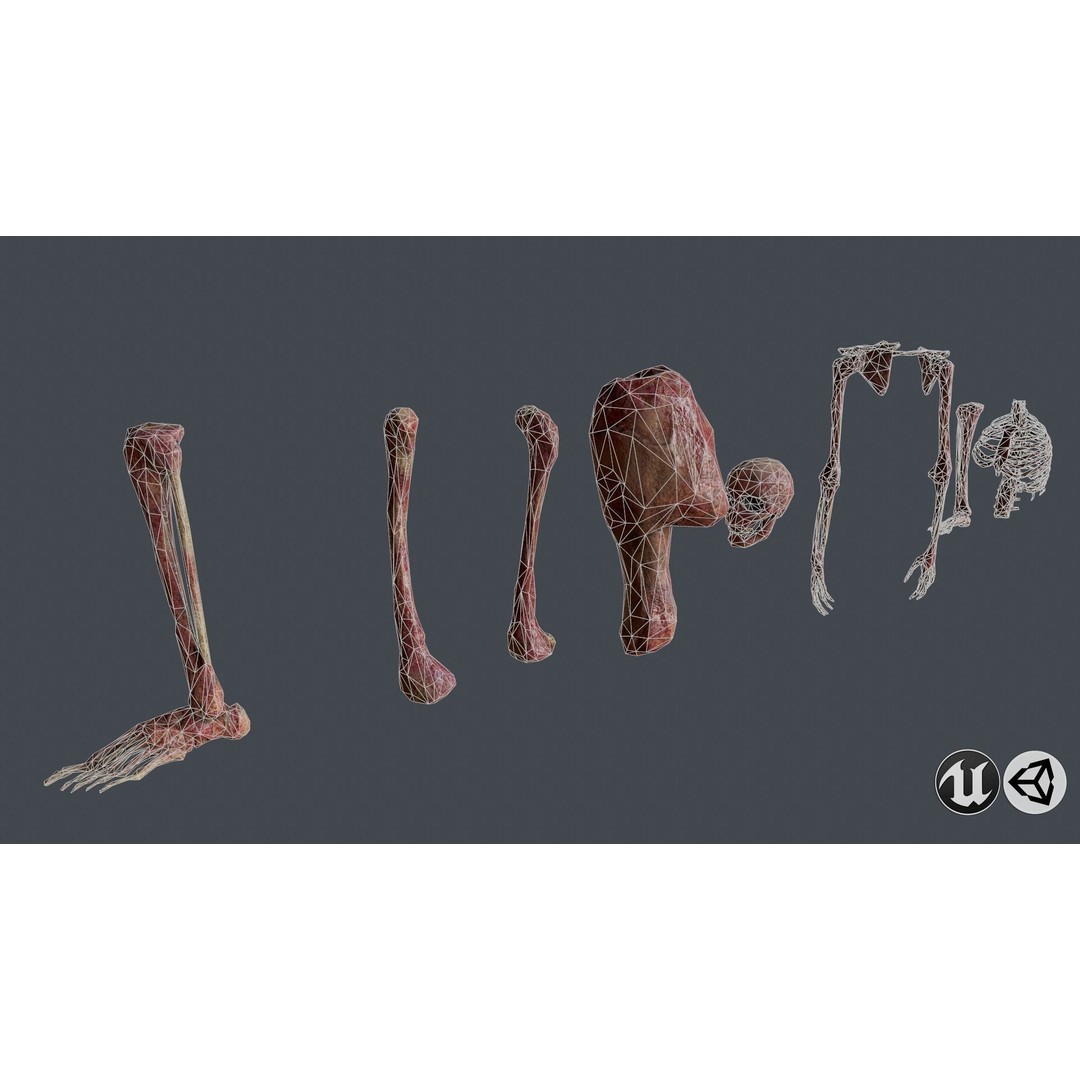 Skull and Bones 3D Model – Low Poly Game Ready Asset, FBX, OBJ - View 5