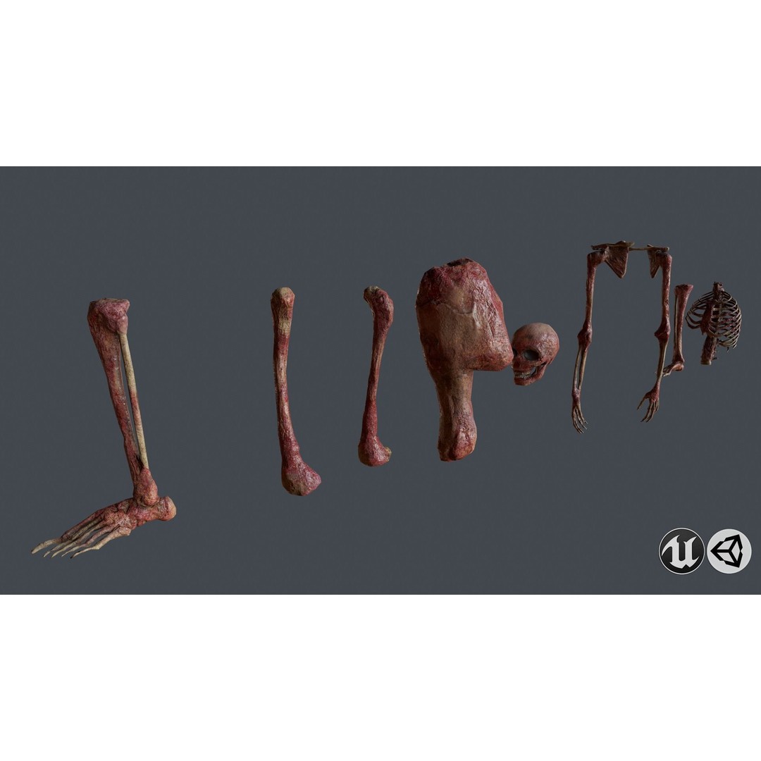 Skull and Bones 3D Model – Low Poly Game Ready Asset, FBX, OBJ - View 6