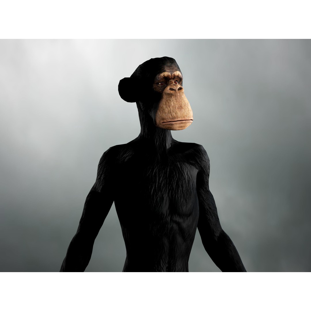 Realistic Ape 3D Model – Low Poly Rigged Character with PBR Textures - View 10