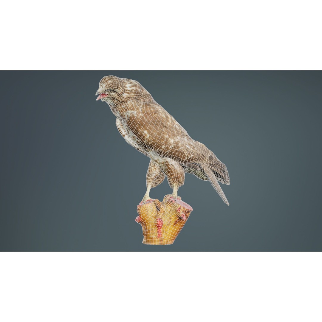 Common Buzzard 3D Model – Low Poly Bird Asset, FBX, Blender - View 11