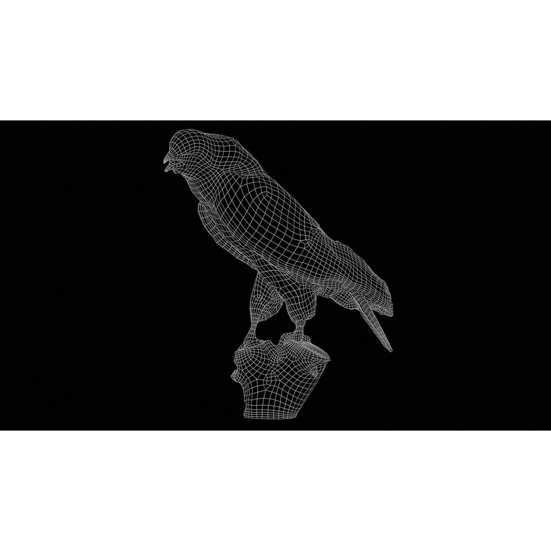 Common Buzzard 3D Model – Low Poly Bird Asset, FBX, Blender - View 13