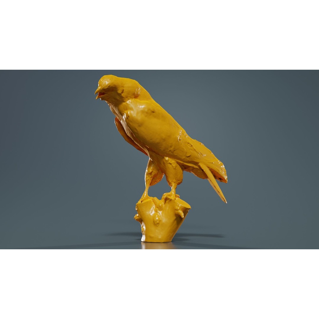 Common Buzzard 3D Model – Low Poly Bird Asset, FBX, Blender - View 14
