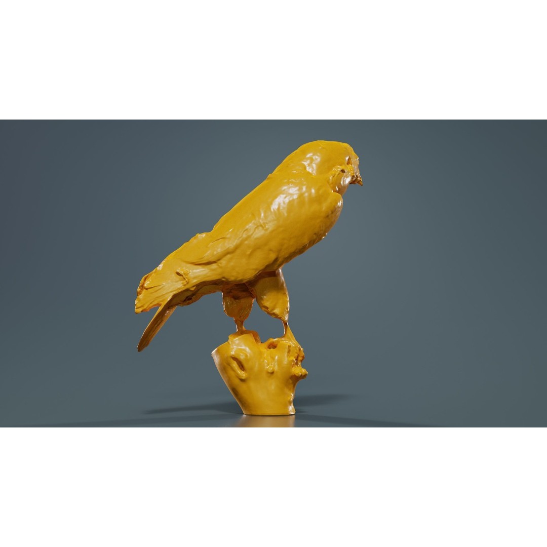 Common Buzzard 3D Model – Low Poly Bird Asset, FBX, Blender - View 15