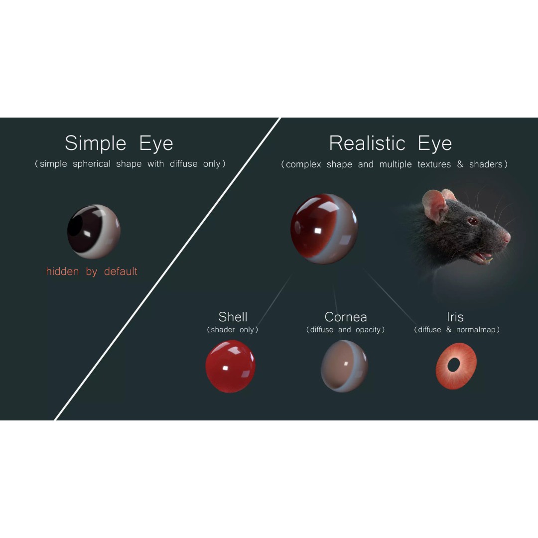 Realistic Black Rat 3D Model – High Poly PBR Asset, FBX, OBJ - View 11