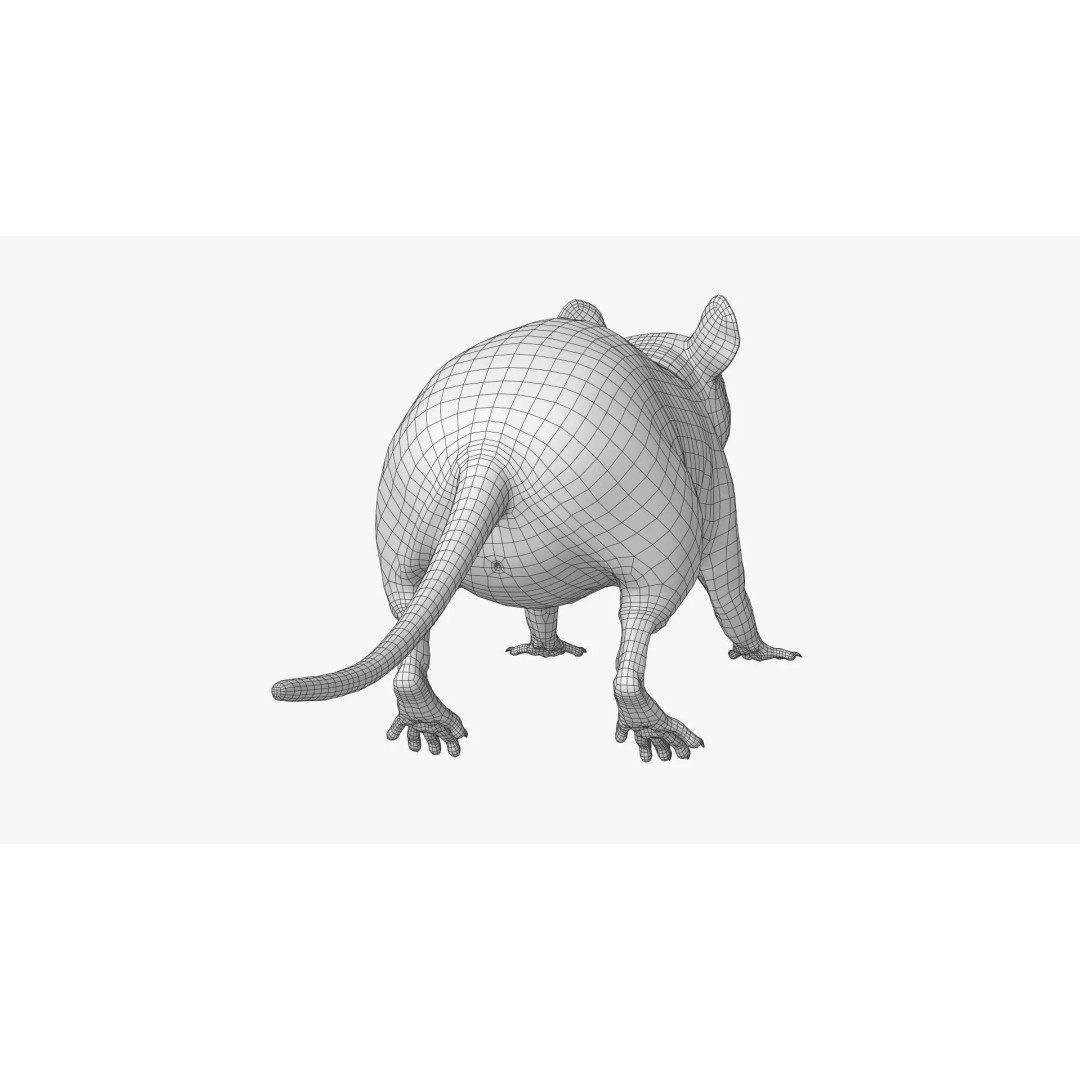Realistic Black Rat 3D Model – High Poly PBR Asset, FBX, OBJ - View 20