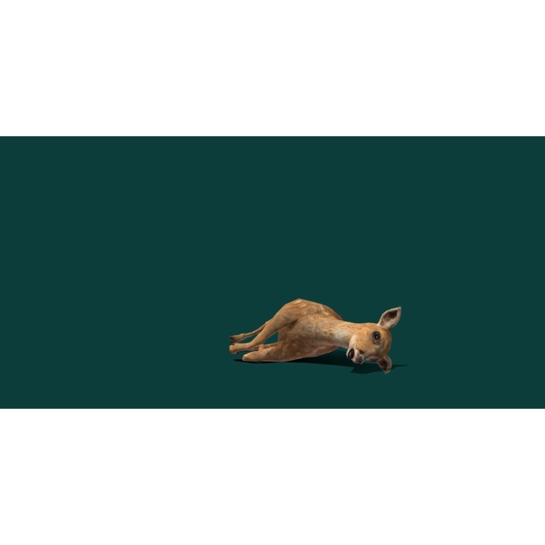 Deer Fawn 3D Model – Low Poly Game Asset, Rigged, FBX, PBR - View 10
