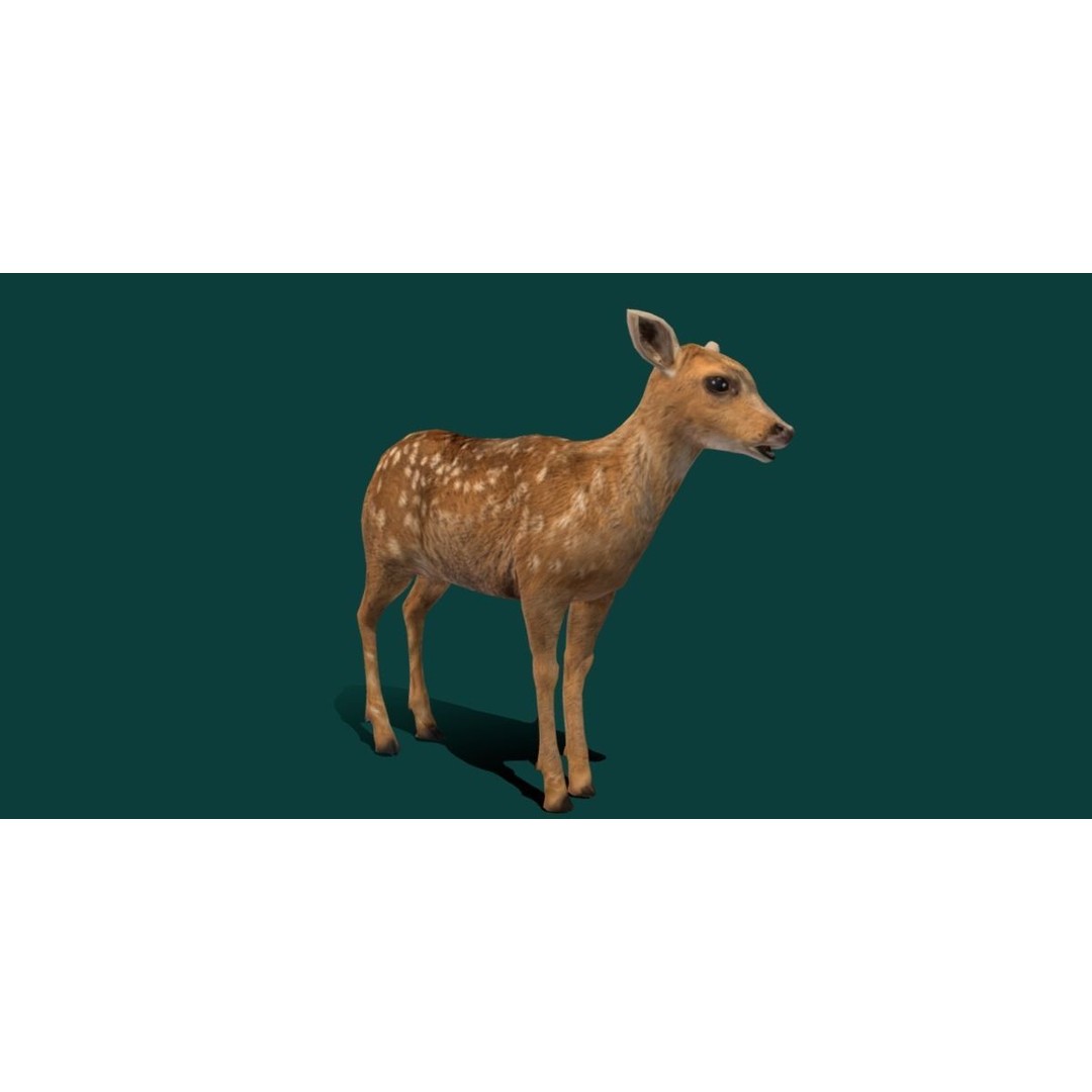 Deer Fawn 3D Model – Low Poly Game Asset, Rigged, FBX, PBR - View 19