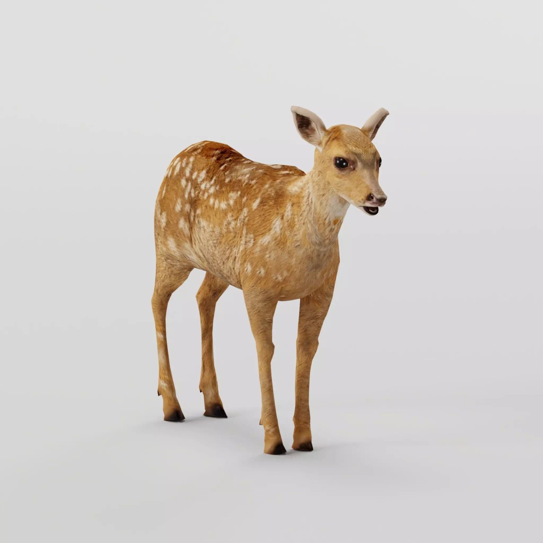 Deer Fawn 3D Model – Low Poly Game Asset, Rigged, FBX, PBR - View 2