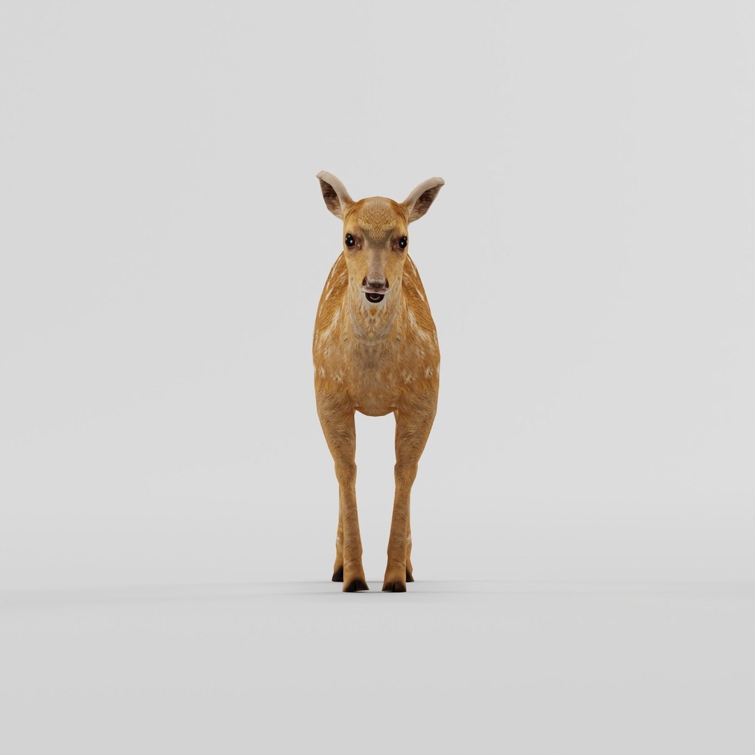 Deer Fawn 3D Model – Low Poly Game Asset, Rigged, FBX, PBR - View 20