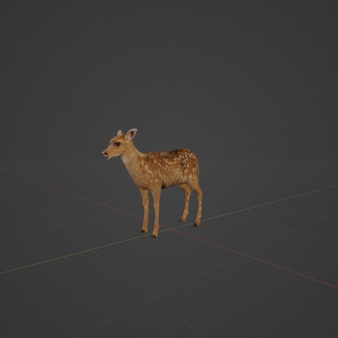 Deer Fawn 3D Model – Low Poly Game Asset, Rigged, FBX, PBR - View 3