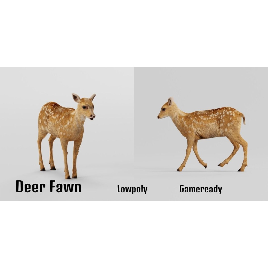 Deer Fawn 3D Model – Low Poly Game Asset, Rigged, FBX, PBR - View 6