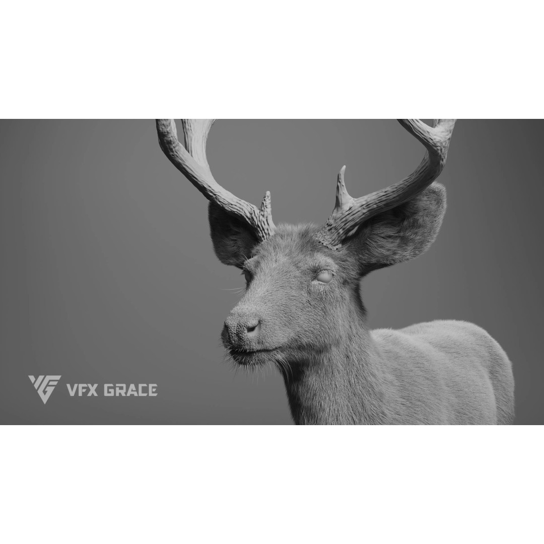 Mule Deer Male 3D Model – Rigged Character with Realistic Fur and Textures - View 11